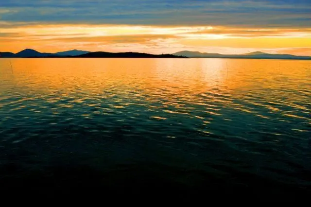 Blueorange