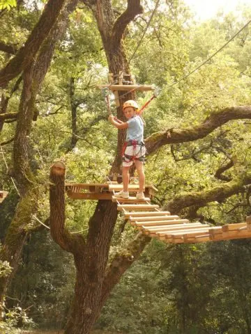 Rope bridge at the Saltalbero Aventure Park