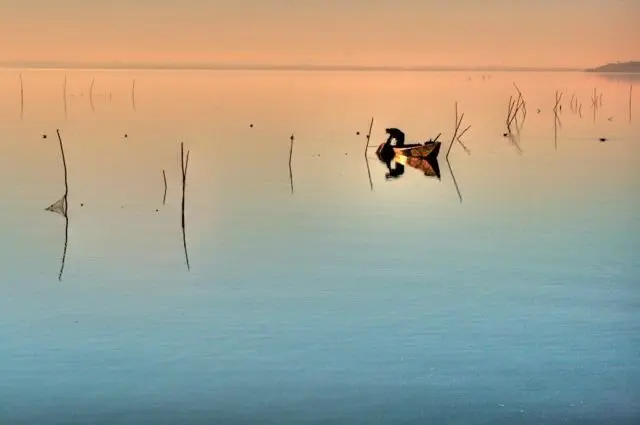 Fishing 2