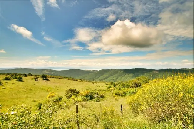 HDRtist HDR http://www.ohanaware.com/hdrtist/