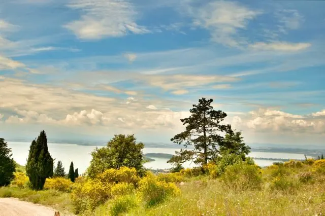 HDRtist HDR http://www.ohanaware.com/hdrtist/