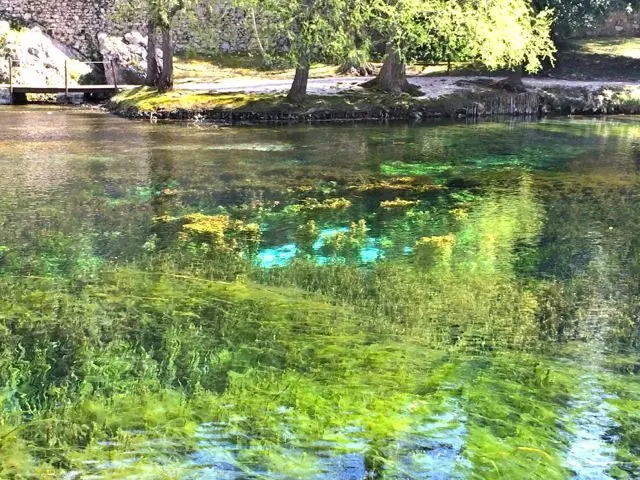Reflections in the water, Fonti del Clitunno, Umbria