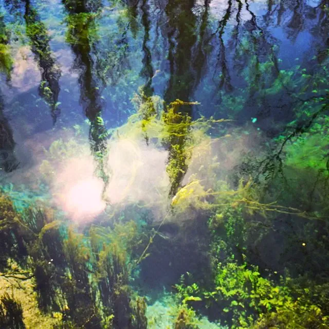 The crystal clear water of the Fonti del Clitunno
