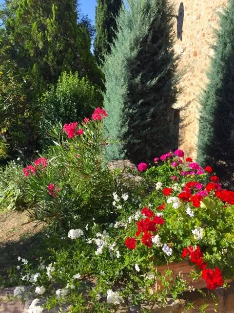 Flowers In The Garden, San Nicolò, Holiday Villa On The Tuscany Umbria Border, Italy