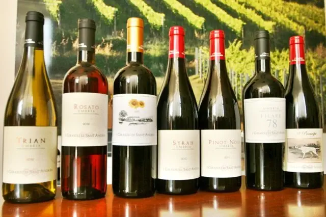 Wines from I Girasoli di Sant'Andrea winery