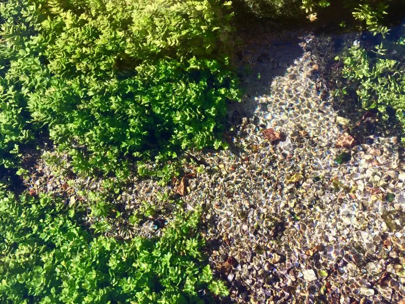 The Clear Water Of A Stream In Rasiglia, Umbria