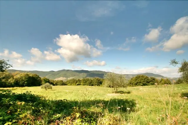 A view along the route of the Etruscan Tomb Walk