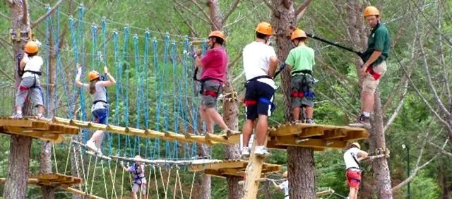 Rope bridges at the Activo Park in Umbria