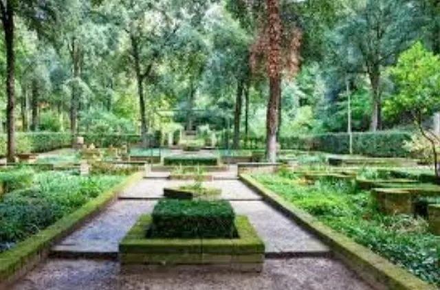 Bosco della Ragnaia