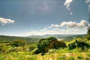 IMG_7042-IMG_7043-IMG_7044